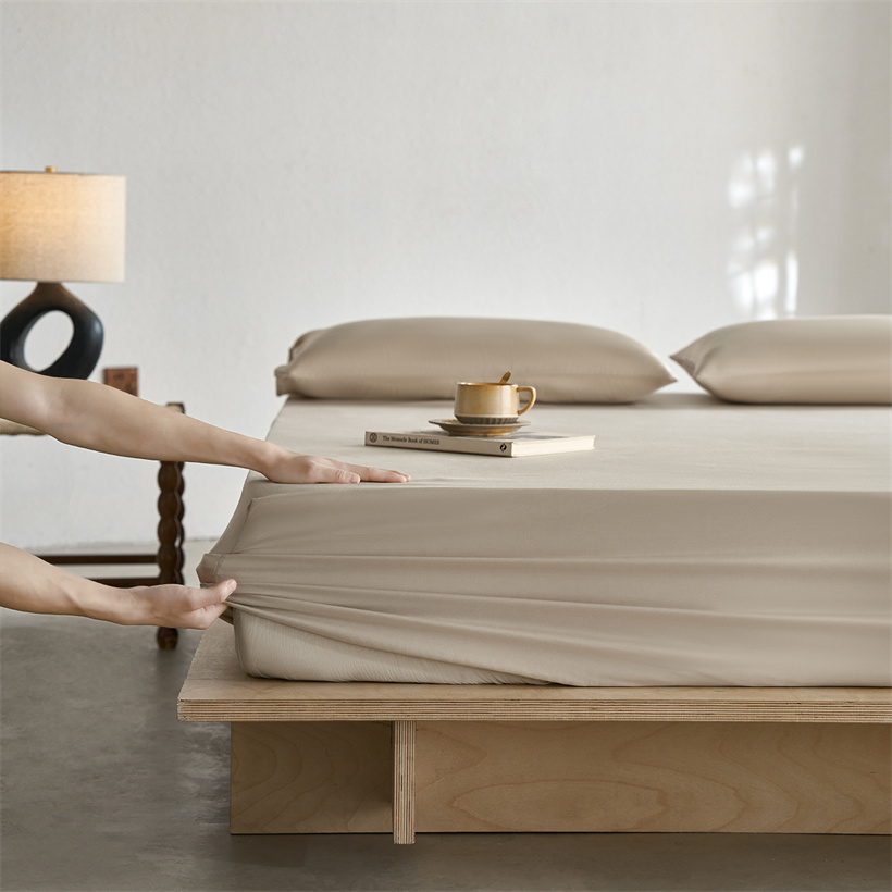100% Mulberry Silk Fitted Shee - Silk Sheet Set avis et prix